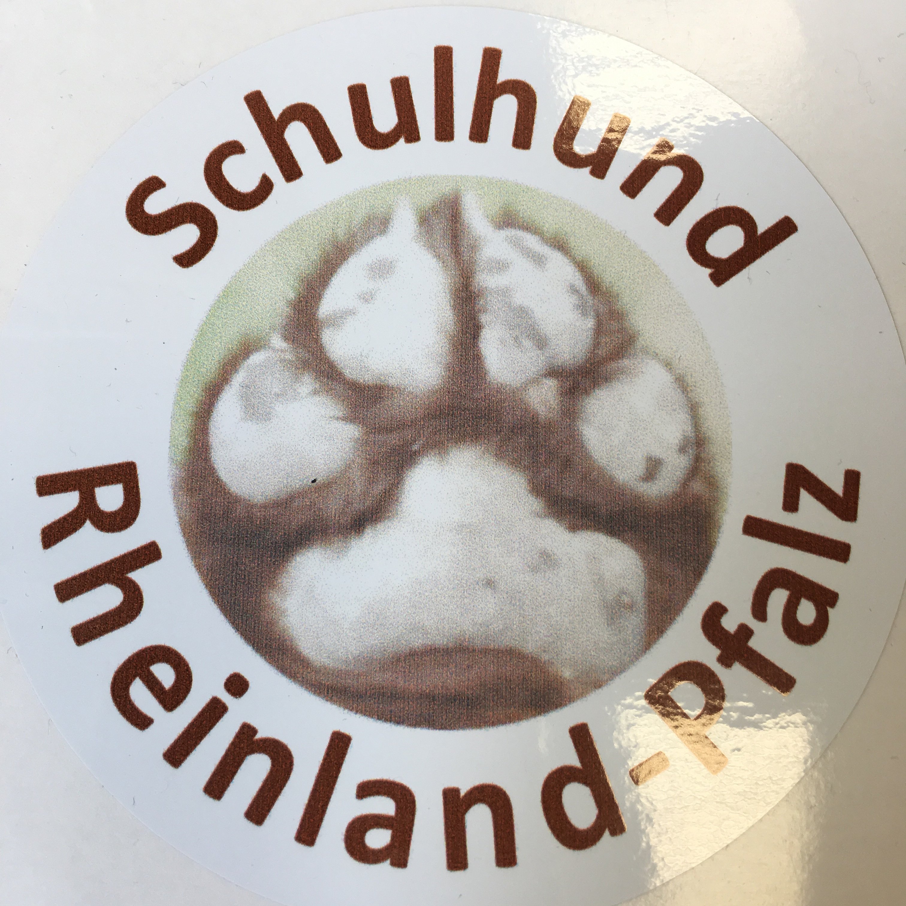 Bild der Schiller-Schule Höhr-Grenzhausen