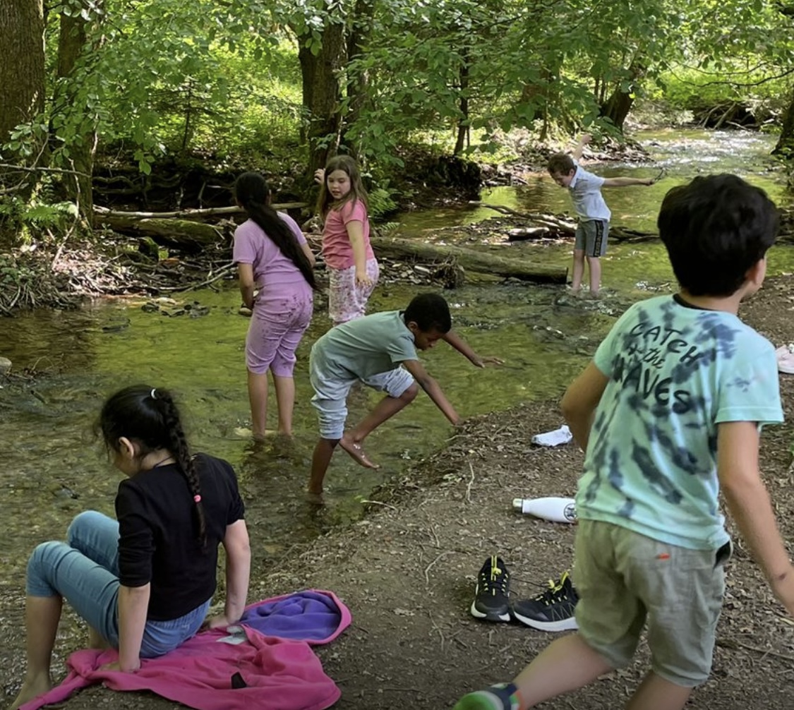 Bild der Schiller-Schule Höhr-Grenzhausen Bild der Schiller-Schule Höhr-Grenzhausen