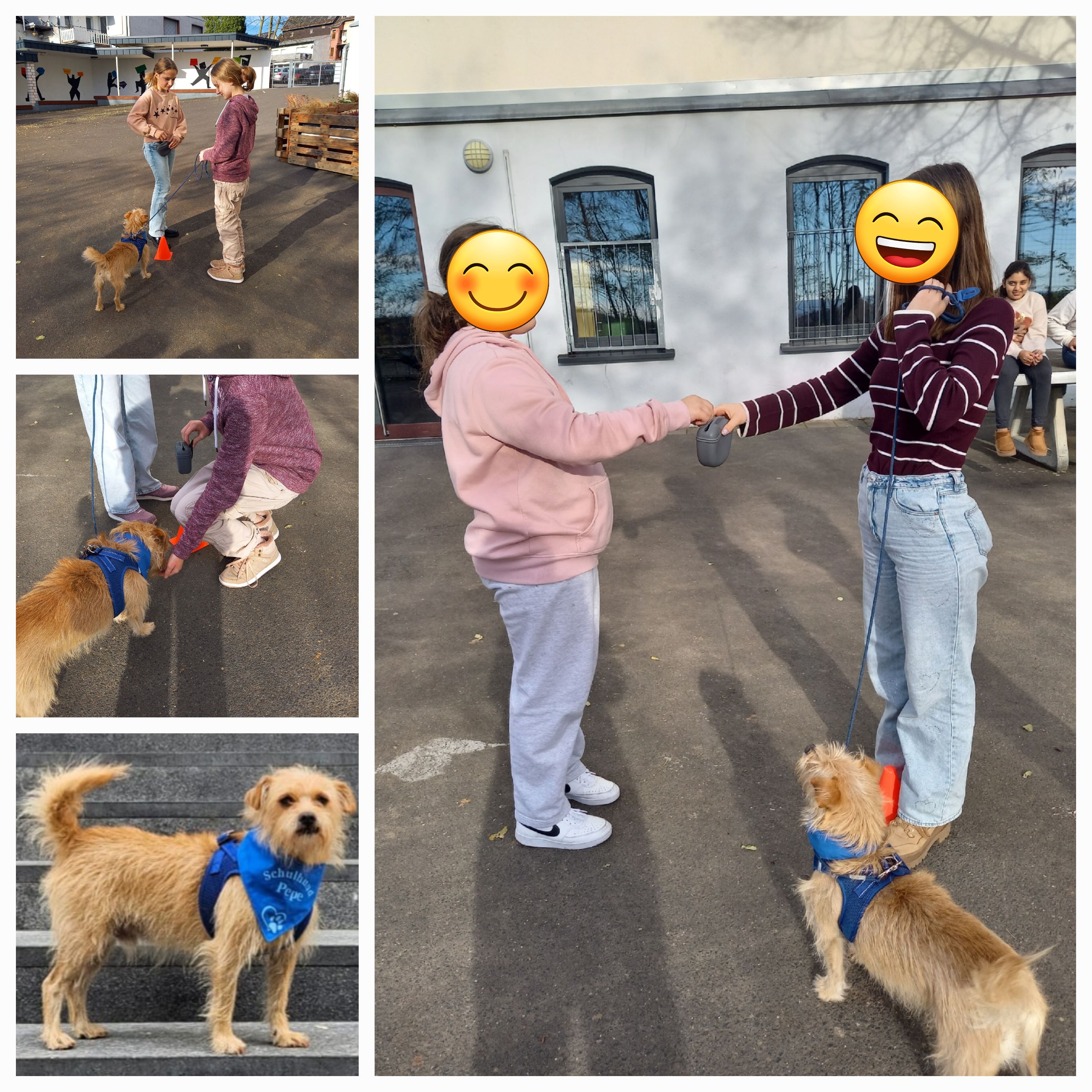 Bild der Schiller-Schule Höhr-Grenzhausen